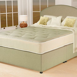 A sage green divan bed with a curved, upholstered headboard, styled with white and gold bedding in a brightly lit room featuring large windows