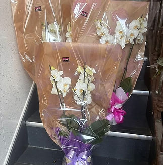 Bouquets of white orchids wrapped in brown paper and clear plastic, adorned with pink and purple ribbons, displayed on dark stairs