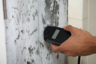 Close-up Of A Person's Hand Measuring Wetness Of Moldy Wall