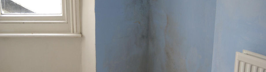 Corner of a room with blue walls showing dark damp patches