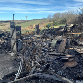 Pile of timber waste in wooded area