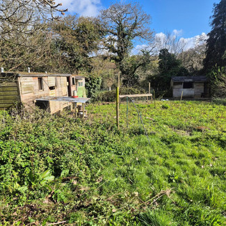 Overgrown land with derelict structures