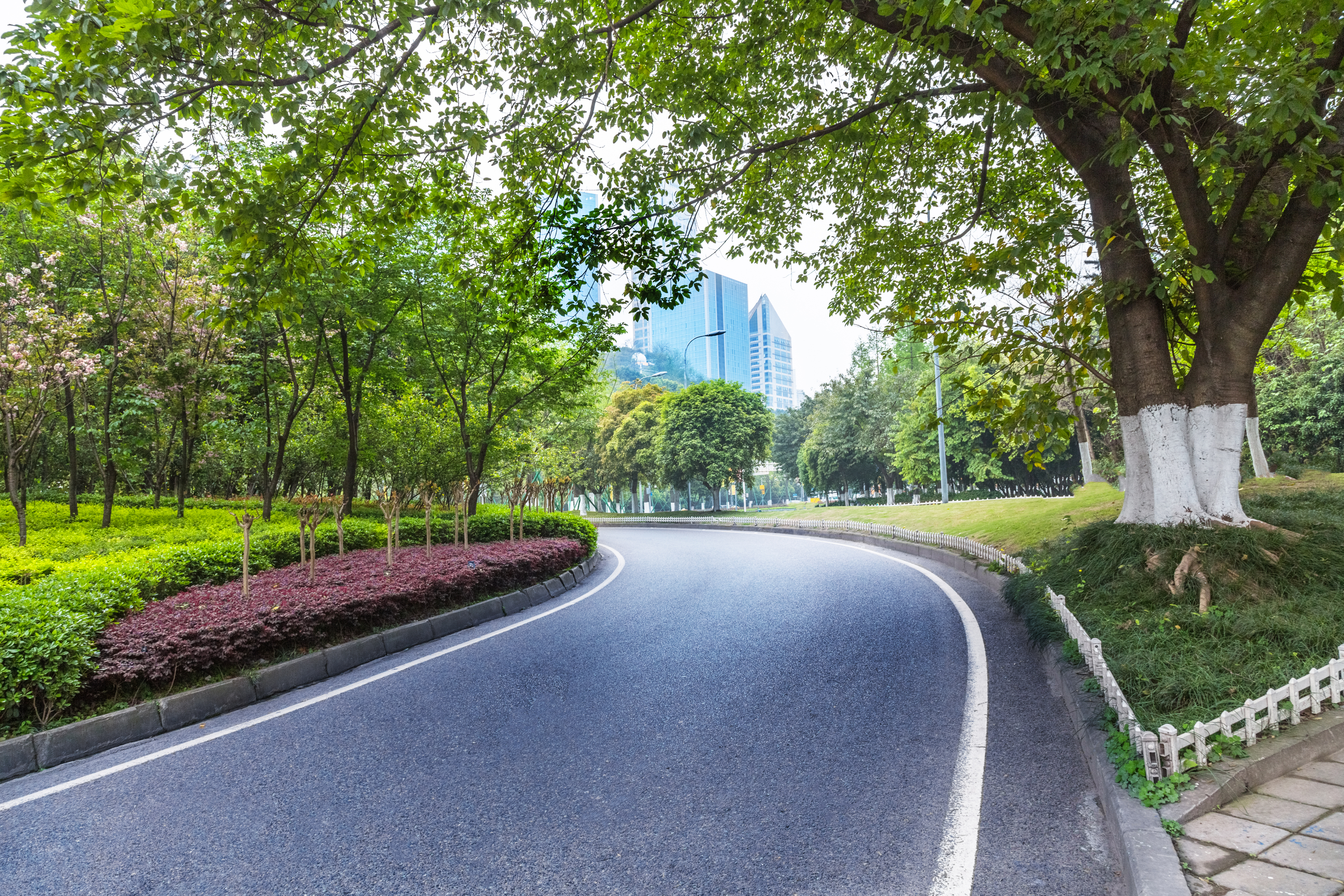 Tree-lined urban road curving toward modern city skyscrapers