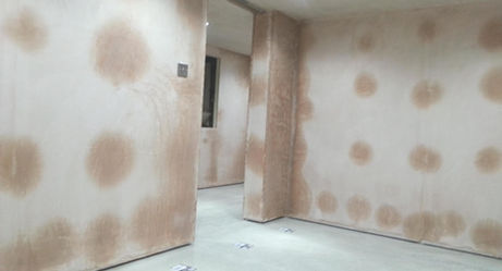 Plaster drying on basement wall panels