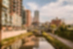 Denver lead generation marketing agency. Indigo Labs
