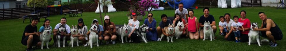 HUSKY PARTY_edited.jpg