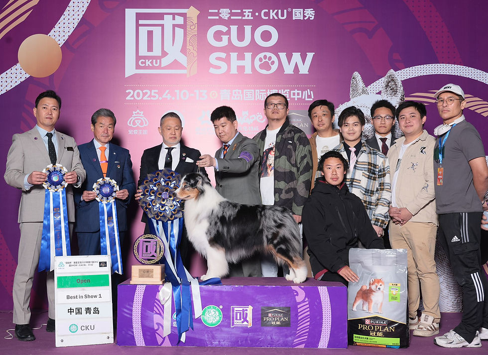 Marty Best In Show