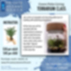 Terrarium Class