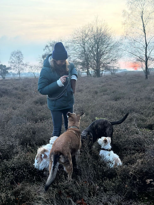 WhatsApp Image 2026-01-13 at 15.19.25.jpeg