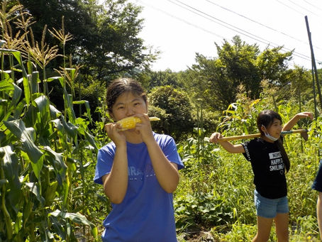 2学期集合!収穫たくさん!