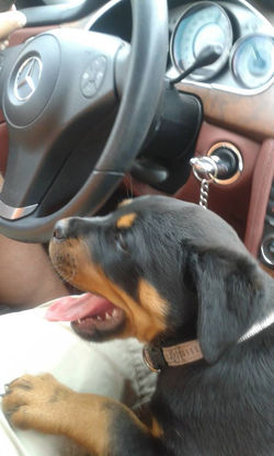 10377599_308430525991942_3080247527517523223_n