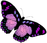 butterfly.gif