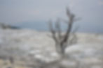 The adverse effect of climate change