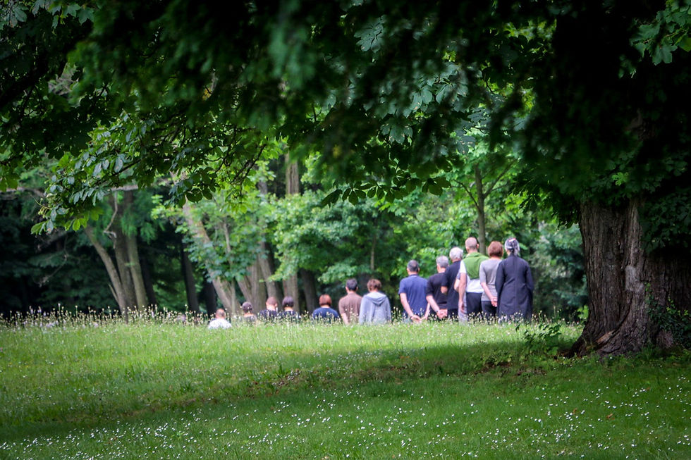 Zen-Wander-Retreat für Anfängerinnen und Fortgeschrittene im Waldviertel