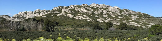 alpilles.jpg