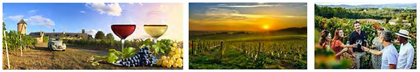 wine-tour.png