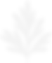 on-light-background.png