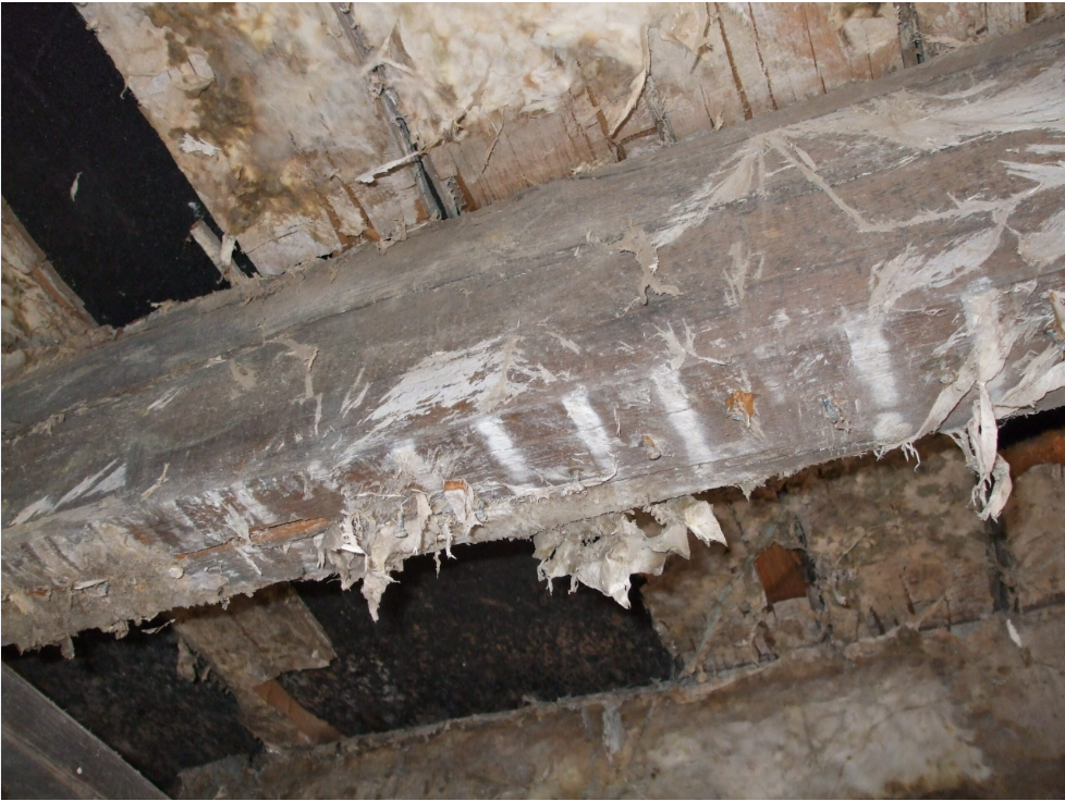 Soft, dark, or crumbly timbers that may suggest long-term moisture