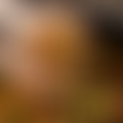 En apprendre plus sur le café de spécialité