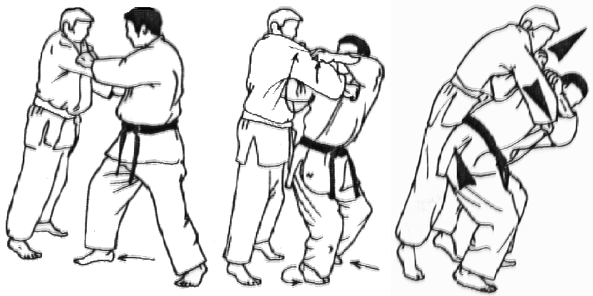 seoi-nage.gif
