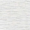 birch.jpg