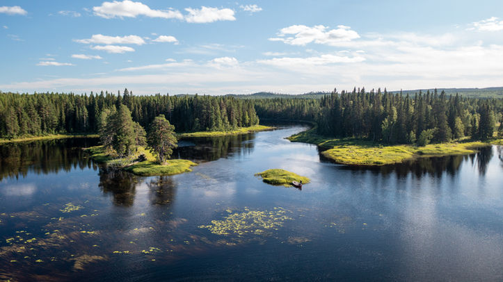 Paysage pittoresque avec rivière sinueuse entourée d'une forêt luxuriante, ciel bleu.