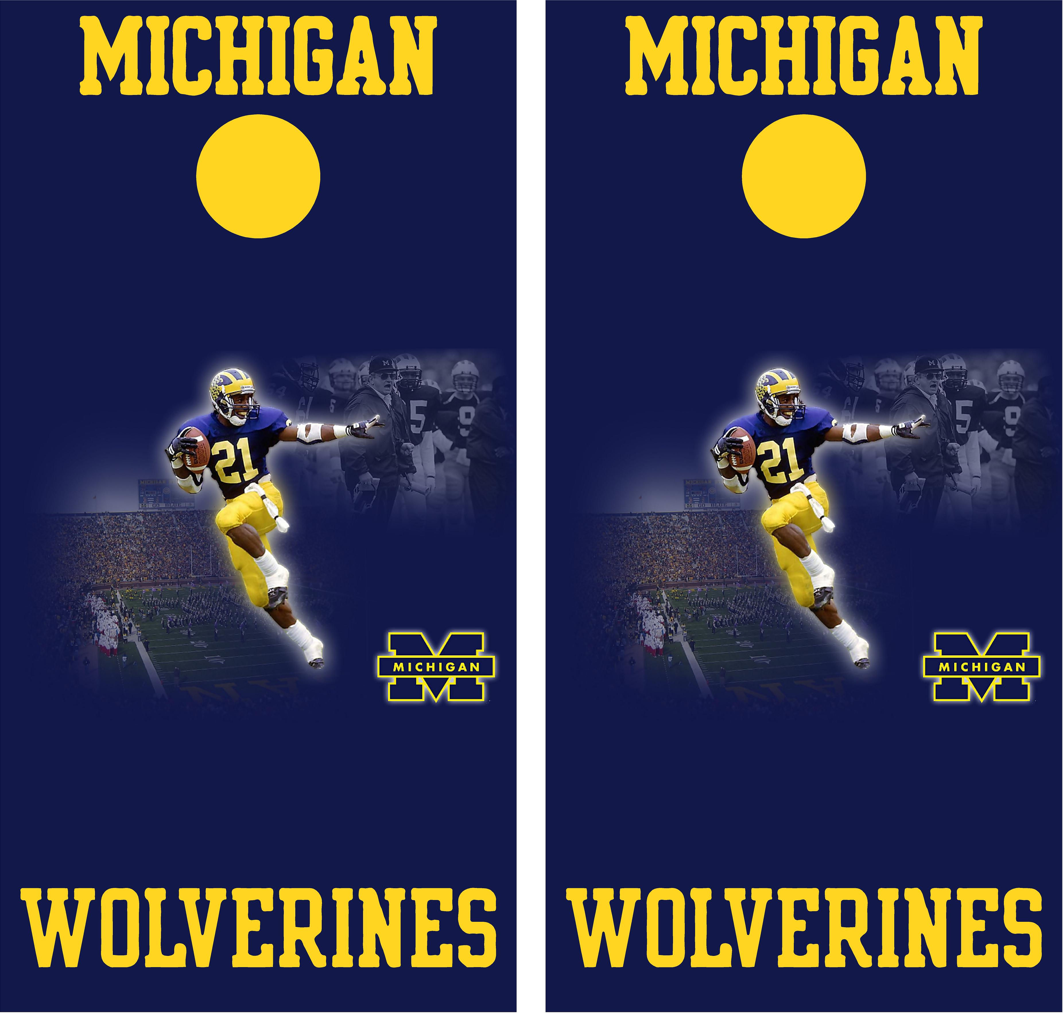 Michigam corn hole boards