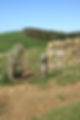 PFootpath in Dorset