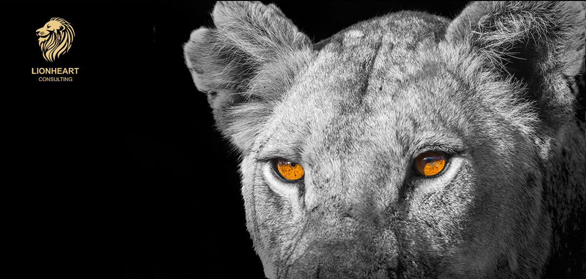 lionesseyes2.jpeg