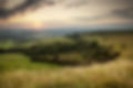 Dorset countryside