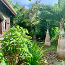 Beautiful gardens in Pic Paradis