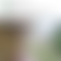 武蔵野美術大学「建築概論」特別講義