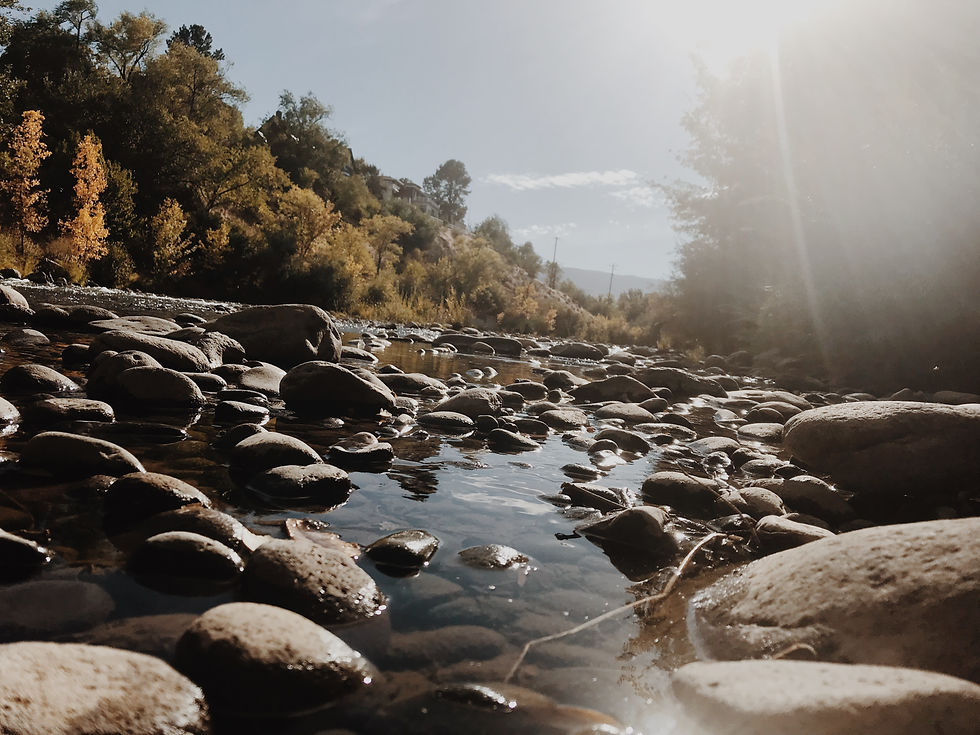 Close up of Truckee River