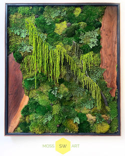 MOSS ART