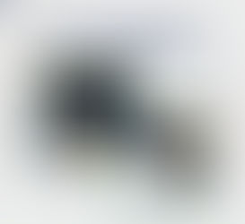 Cryptocurrency coins and charts with text: "With the rise of cryptocurrency, do you report gains diligently or risk skipping it?"