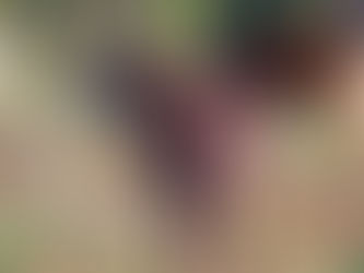 Strum Gs 2 Keygen Crackinstmank Shawend