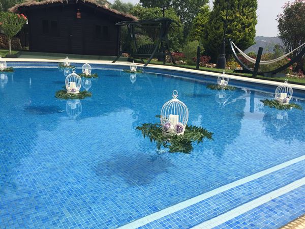 Evento Shop Gallery Swimming Pool Decorations
