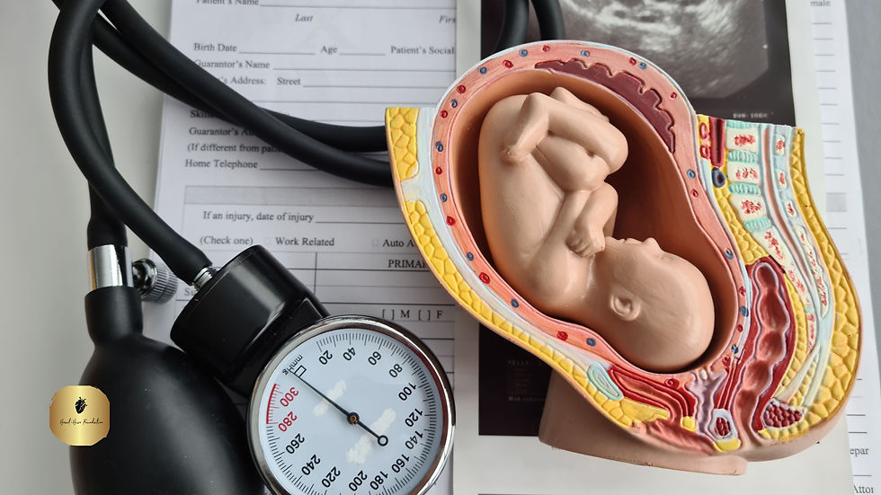 Model of the embryo and ultrasound of uterus.