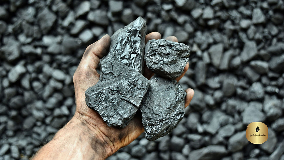 Hand of the miner shows coal in mine