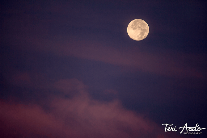 Super Moon Band Wagon