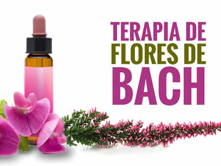 Las 38 flores de Bach. Descripción