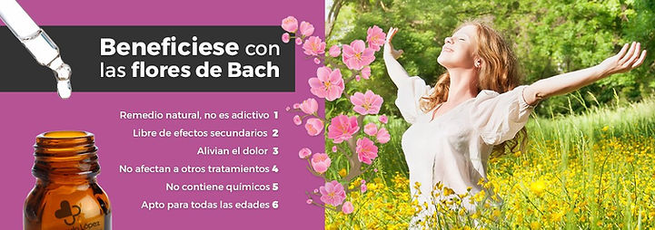 banner flores de bach.jpg