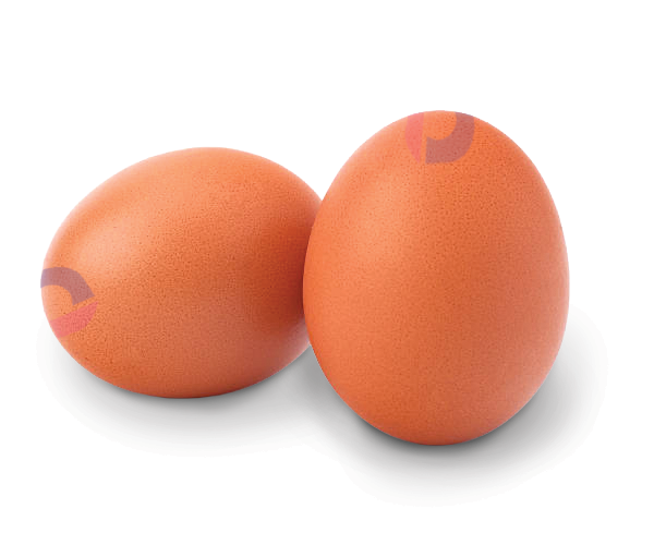 Egg-Link-Shadow.png