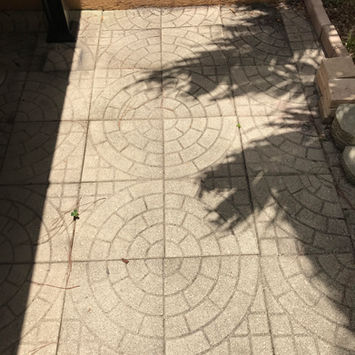 Pavers after 14 days of application