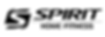 Sprint Home Fitness Logo