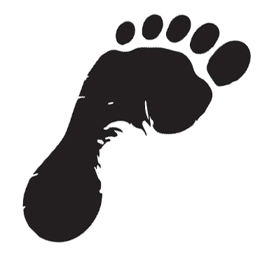 bf-footprint.png