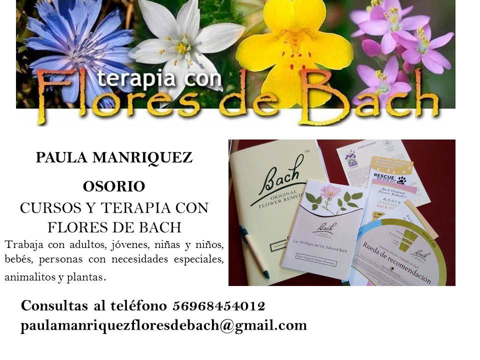 volante flores de bach cursos y terapia