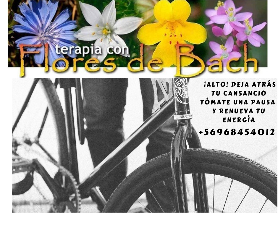 flores de bach