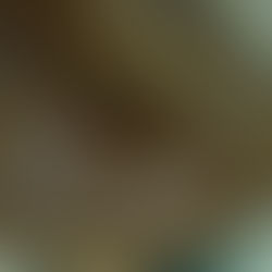 มิ๊งออย กับไขปลาวาฬ เลือกใช้ตัวไหนดี