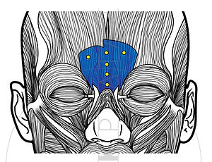 LINEART%20(14)_edited.jpg